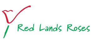 Red Lands Roses